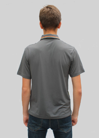 Серая футболка-поло мужское для мужчин Nike