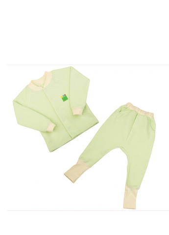 Светло-зеленый демисезонный костюм (кофта, брюки) брючный Эко Пупс
