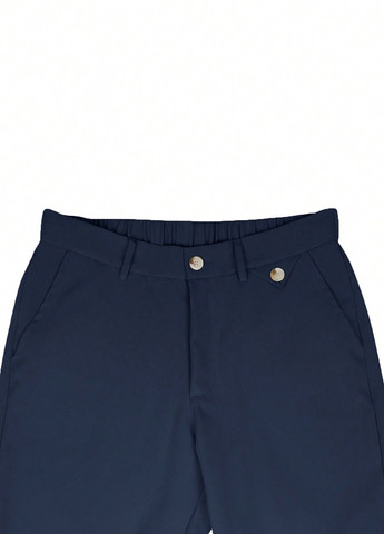 Синие классические, кэжуал демисезонные чиносы брюки SHEIN