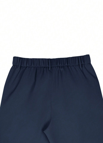 Синие классические, кэжуал демисезонные чиносы брюки SHEIN