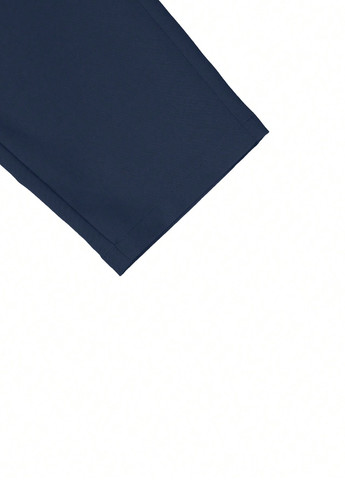 Синие классические, кэжуал демисезонные чиносы брюки SHEIN