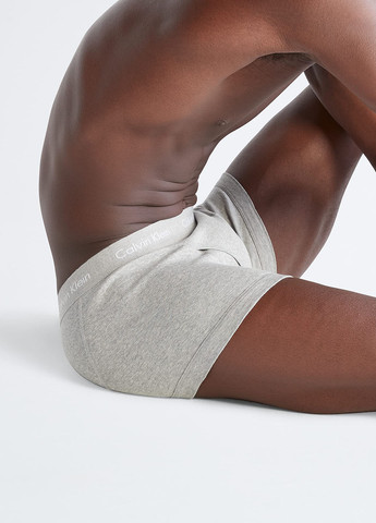 Труси (7 шт.) Calvin Klein (366808593)