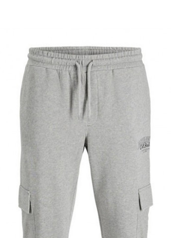 Штани Jack & Jones (355383149)