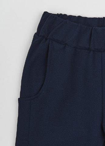 Синие спортивные демисезонные брюки джоггеры Z16