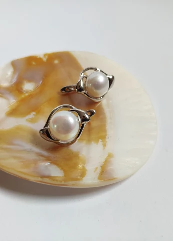 Сережки Silver Flame (255306318)