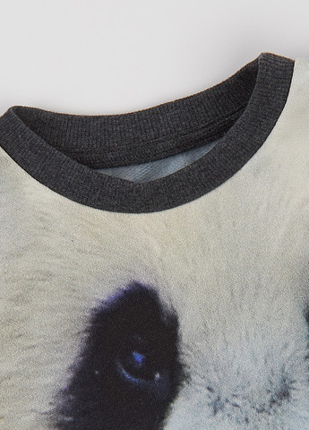 Синій демісезонний костюм (світшот, штани) брючний ArDoMi