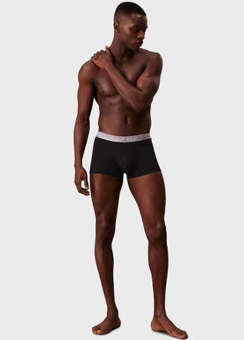 Трусы (3 шт.) Calvin Klein (366431782)