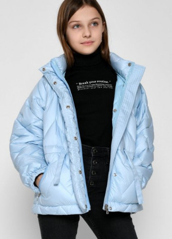 Блакитна демісезонна куртка демісезонна X-Woyz DT-8343-11