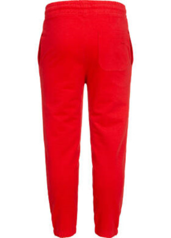 Красные спортивные демисезонные брюки зауженные Endo