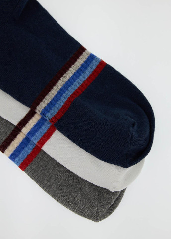 Шкарпетки (3 пари) DeFacto без ущільненого носка смужки комбіновані повсякденні