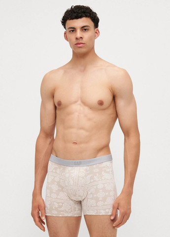 Труси (3 шт.) Gap (365700927)