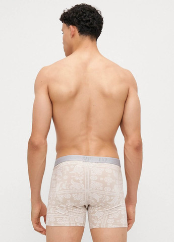 Труси (3 шт.) Gap (365700927)