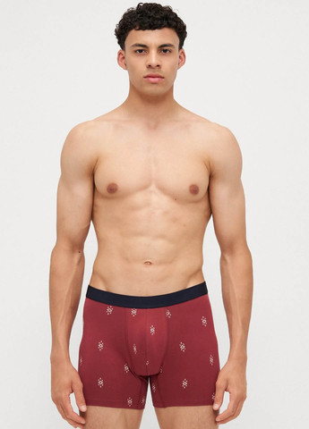 Труси (3 шт.) Gap (365700927)