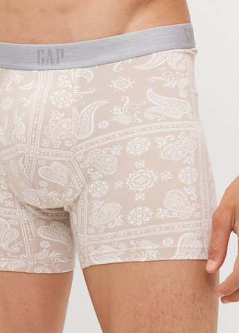 Труси (3 шт.) Gap (365700927)