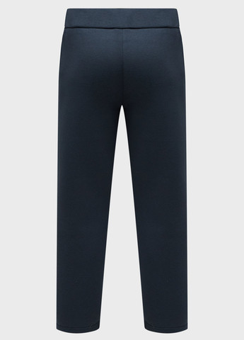 Темно-синие спортивные демисезонные прямые брюки Calvin Klein