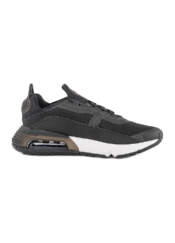 Кросівки AIR MAX 2090 GS Nike (254546788)