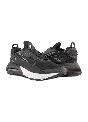 Кросівки AIR MAX 2090 GS Nike (254546788)