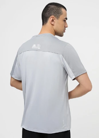 Сіра футболка The North Face