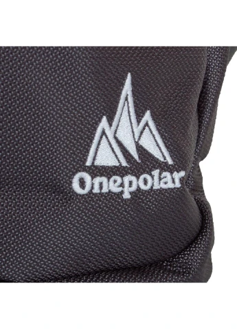 Мусжкая сумка спортивная 18х20х8 см Onepolar (253031971)