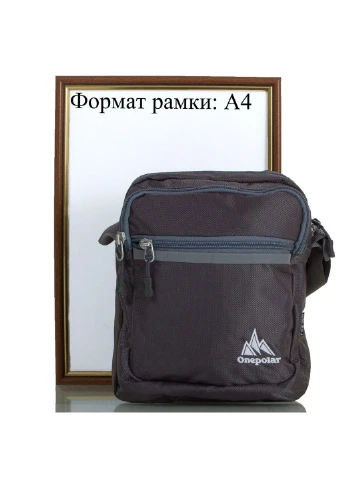 Мусжкая сумка спортивная 18х20х8 см Onepolar (253031971)