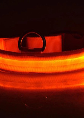 Ошейник с LED подсветкой AMZ (272649019)