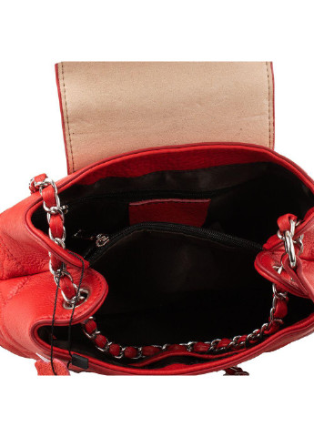 Женская кожаная сумка-ридикюль 26х17х7,5 см Vito Torelli (232989268)