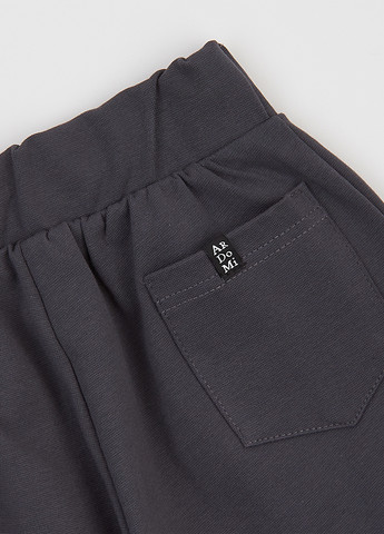 Темно-серые спортивные, кэжуал демисезонные джоггеры брюки ArDoMi