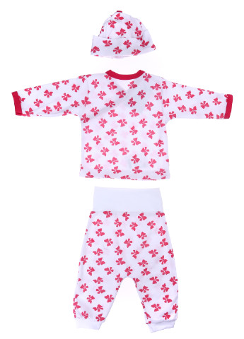 Белый демисезонный комплект (кофта, брюки, шапка) Baby Art