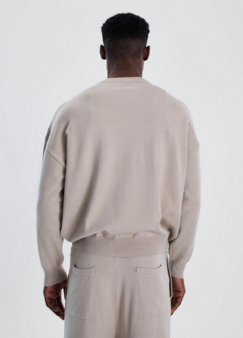 Светло-бежевый свитшот SHEIN однотонный без декора (347152467)