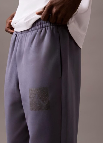 Серые спортивные демисезонные джоггеры брюки Calvin Klein