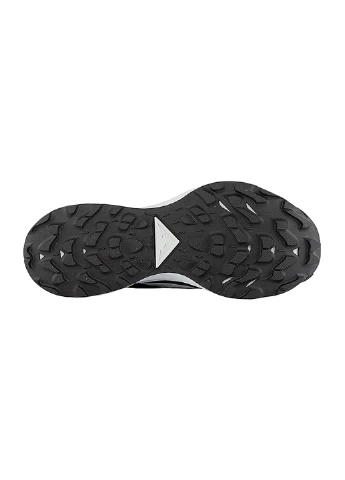 Кросівки W PEGASUS TRAIL 3 Nike чорні демісезони (256006781)