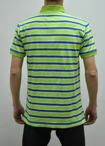 Поло чоловіче Tommy Hilfiger (253248596)