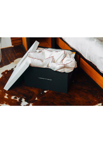 Одеяло пуховое DeLuxе 029 деми 110x140 см (2200000005878) Mirson (254073153)