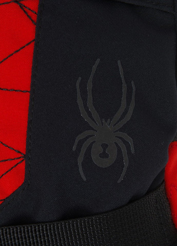 Рукавички лижні Spyder OVERWEB (299932456)