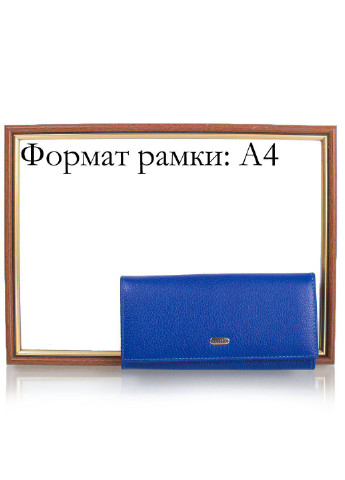 Женский кожаный кошелек 18,5х9,5х3 см Canpellini (195547293)