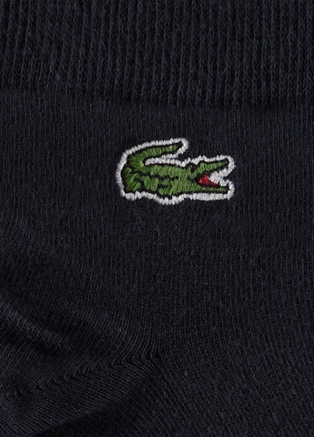 Темно-сині шкарпетки Lacoste логотипи (329058446)