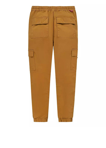 Горчичные кэжуал, спортивные демисезонные брюки джоггеры, карго Levi's