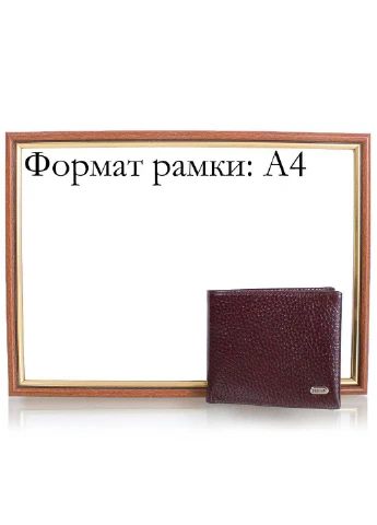 Чоловіче шкіряне портмоне 9,5х12,5х1,5 см Desisan (195771437)