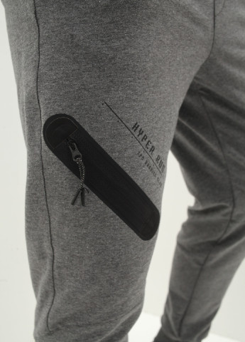 Темно-серые спортивные демисезонные брюки Speed life
