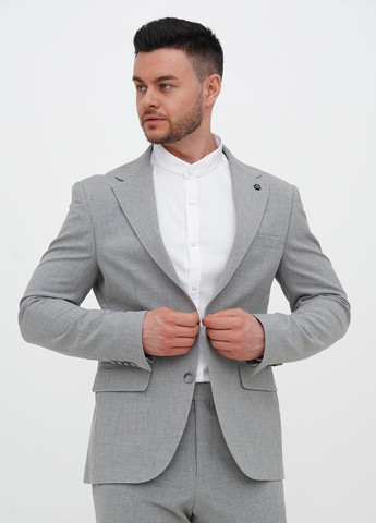 Сірий демісезонний костюм (піджак, штани) брючний Trend Collection