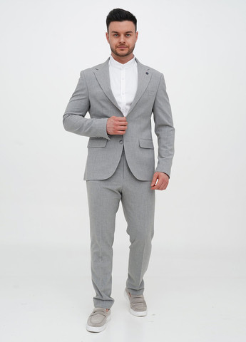 Сірий демісезонний костюм (піджак, штани) брючний Trend Collection