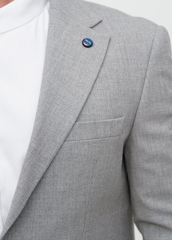 Сірий демісезонний костюм (піджак, штани) брючний Trend Collection