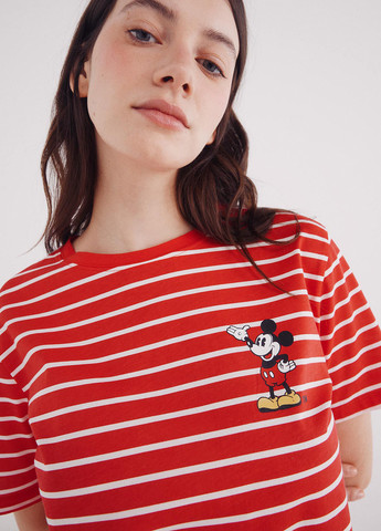 Футболка Springfield - (342058882)