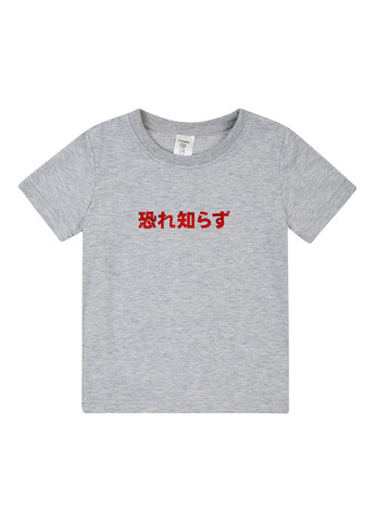 Сіра демісезонна футболка Garnamama