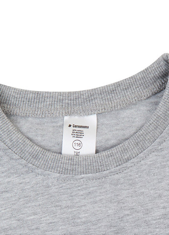 Сіра демісезонна футболка Garnamama