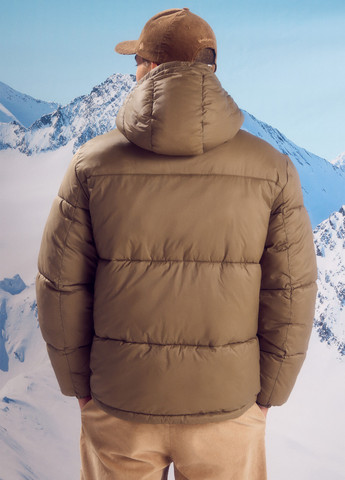 Оливкова (хакі) зимня куртка Springfield