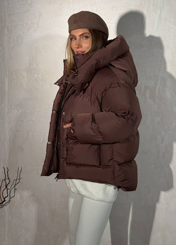 Коричневый зимний Пуховик No Brand