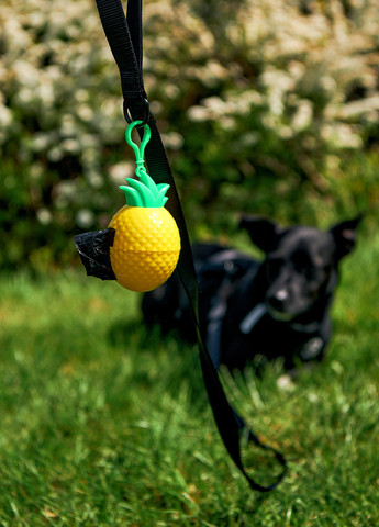 Держатель с гигиеническими пакетами для собак, 6,7x10 см Sinsay (317207125)