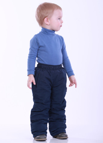 Синие кэжуал зимние брюки со средней талией Kat