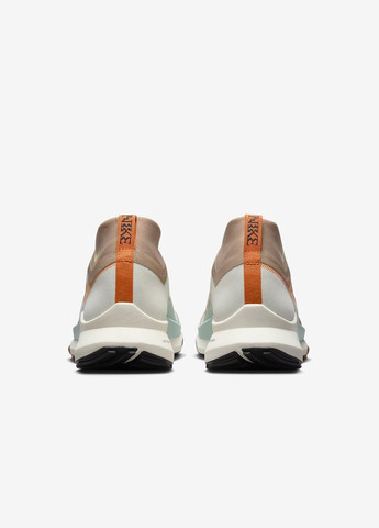 Цветные демисезонные кроссовки fn8886-181 Nike Pegasus Trail 4 GORE-TEX